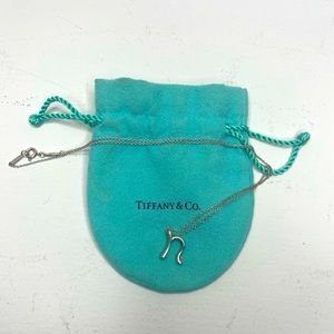 Tiffany & Co Elsa Peretti N initial necklace
